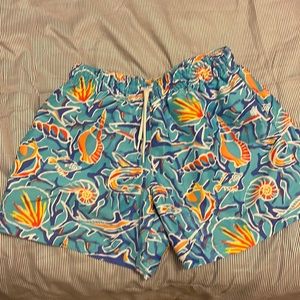 Chubbies swimsuit